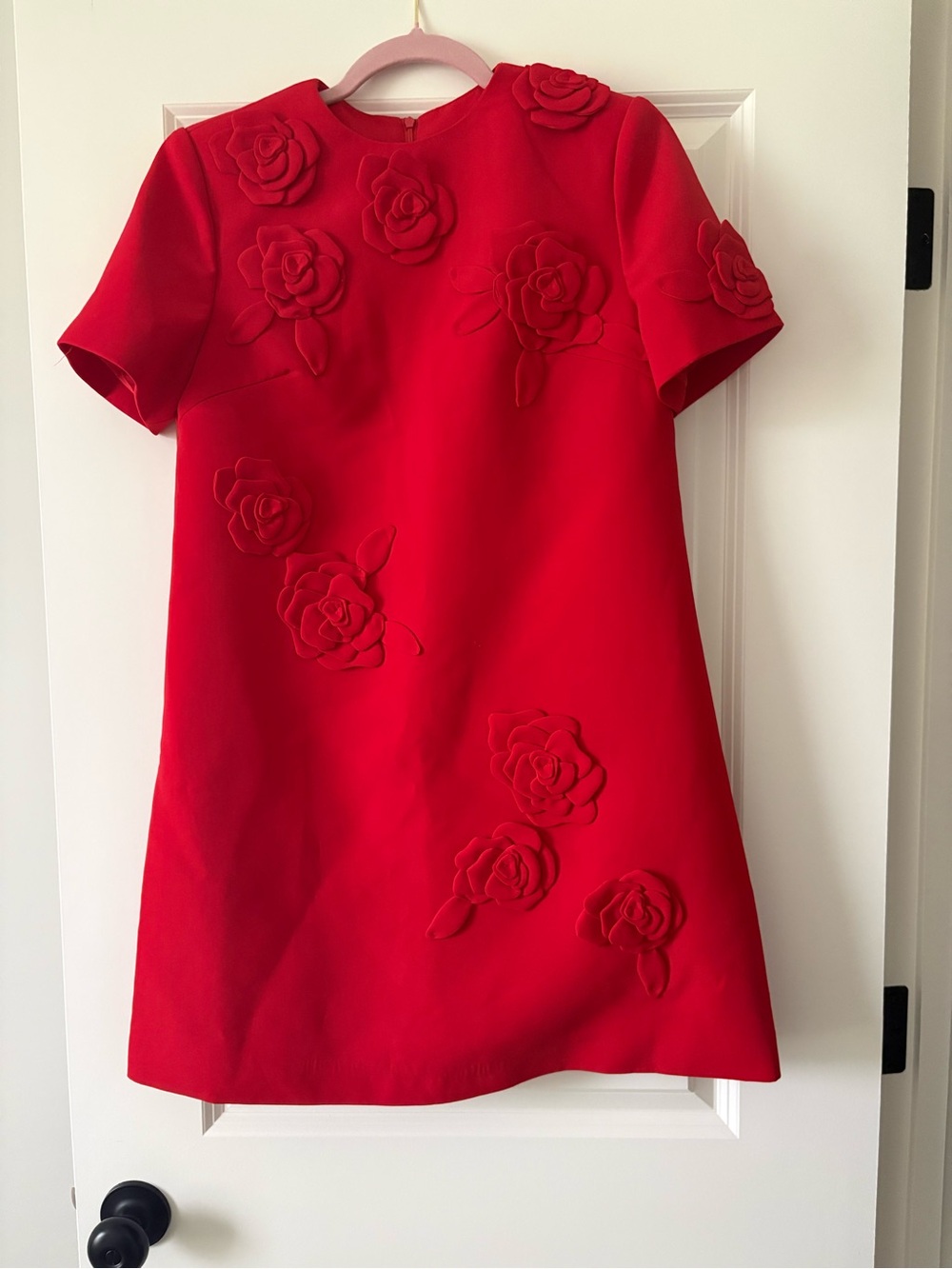 Red Mini Dress with 3D Floral Appliqués